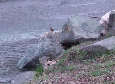 Прикрепленное изображение: 02.jpg